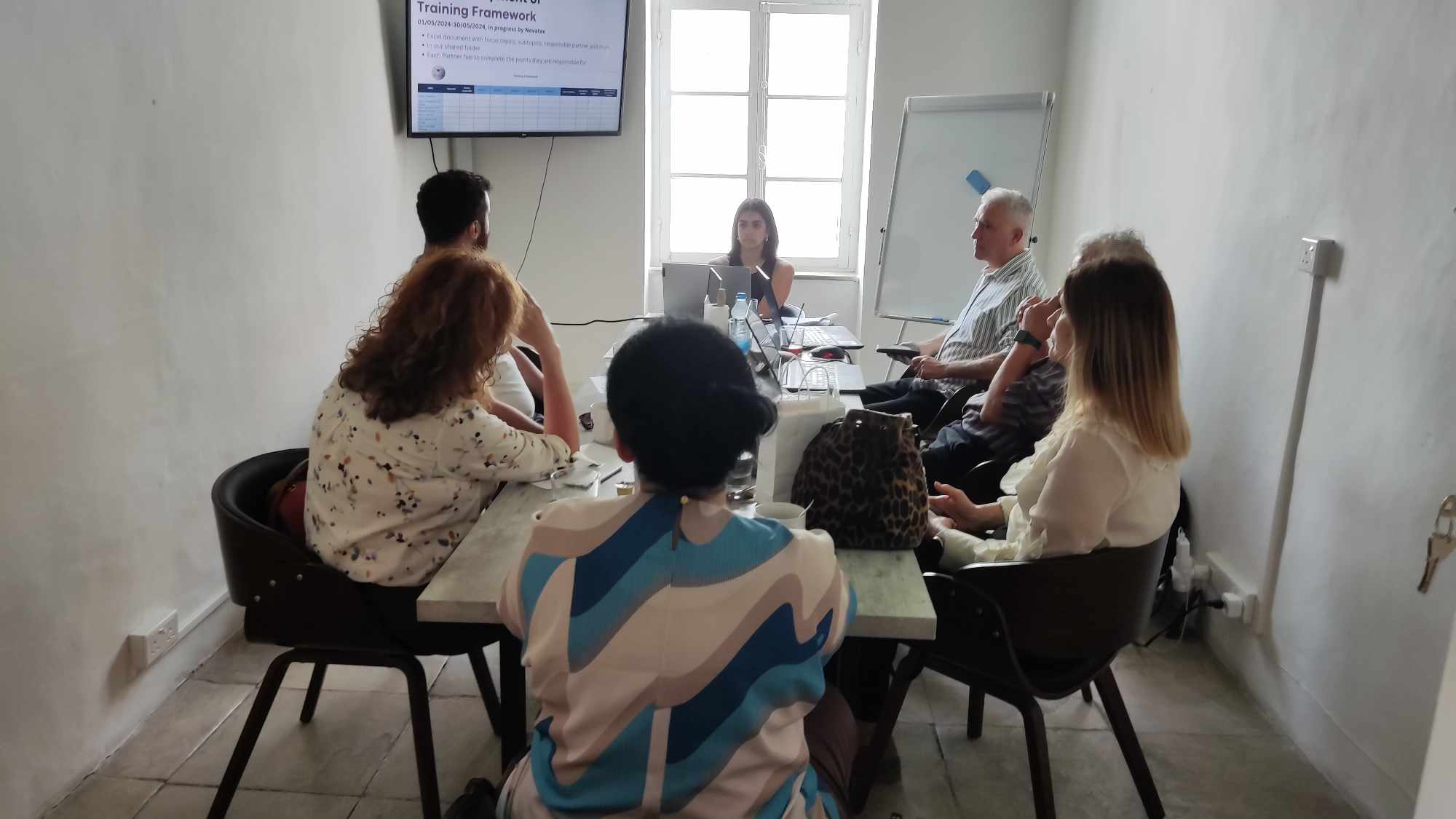 Novatex- ESTEM-3D TPM Meeting In Cyprus